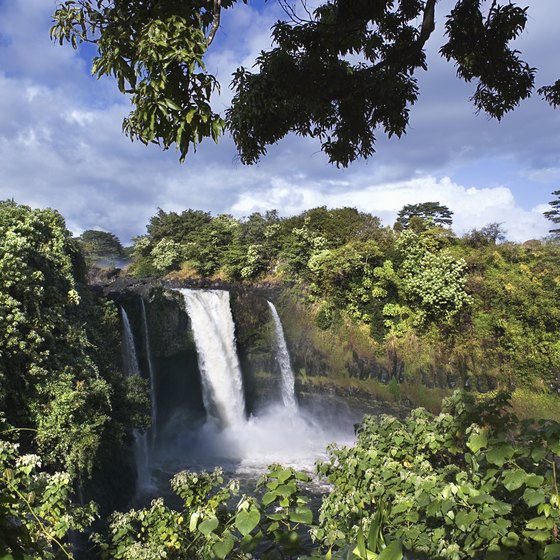 5 Best Things to Do in Hilo