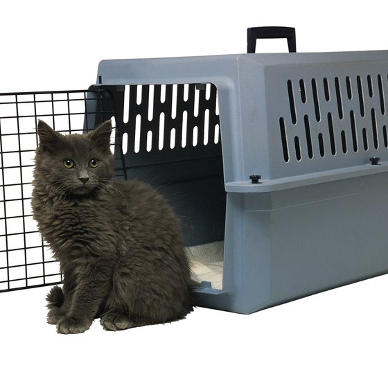 Your cat will remain calmer on a flight if it is used to its carrier.