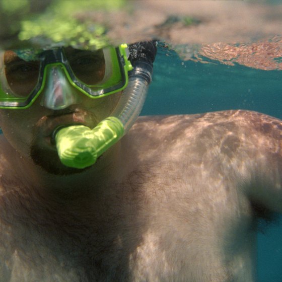 Most Ottawa area stores offer training lessons to help you learn to use your snorkeling gear.