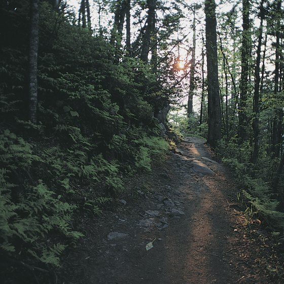 The Appalachian Trail stretches more than 2,000 miles from Georgia to Maine.