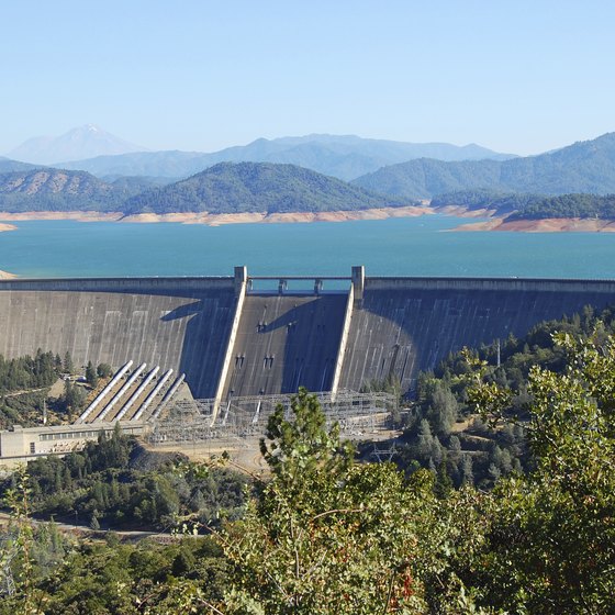 How do you find information on the lake level at Shasta Dam?