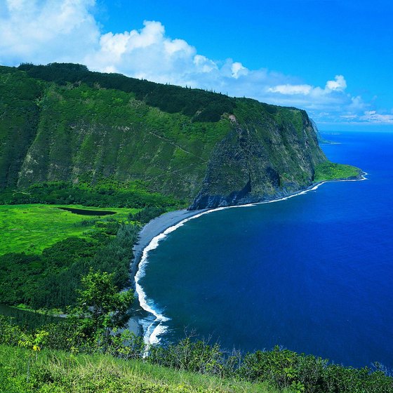 Hawaii is a tropical destination in the Pacific Ocean.