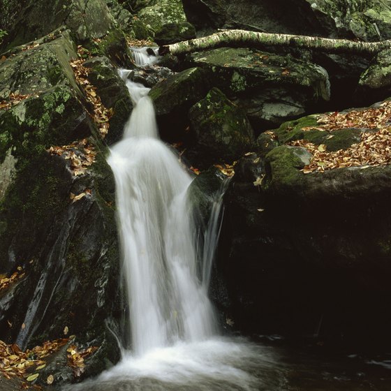 Shenandoah National Park features several hikes of varying difficulties that lead to waterfalls.