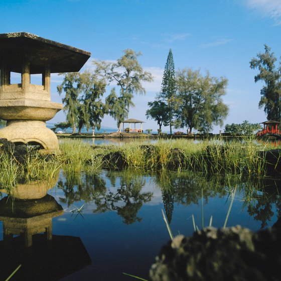 Fish pond at Liliuokalani Park and Gardens