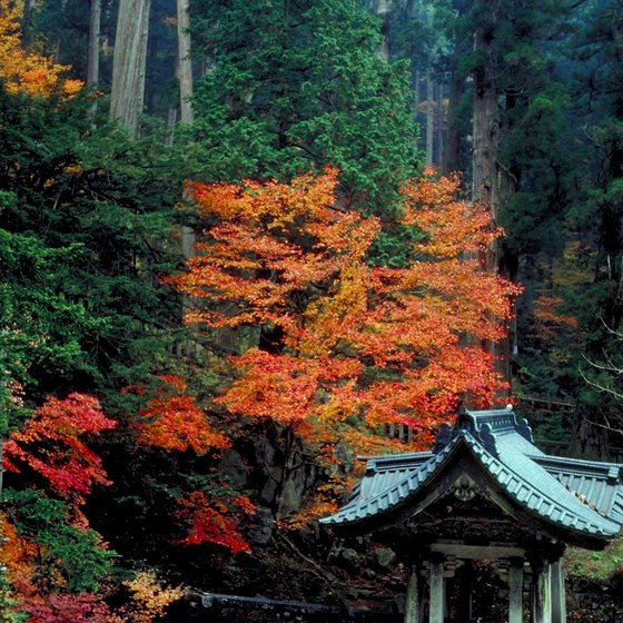 October brings brightly colored foliage to Japan's mountains.