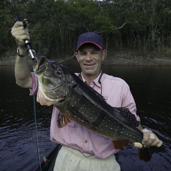 Wide-mouth bass are just one of several types of fish used to stock Georgia lakes.