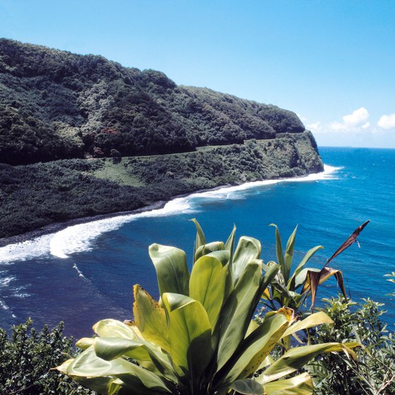 The coastline leading to Hana, Maui, affords spectacular scenery.