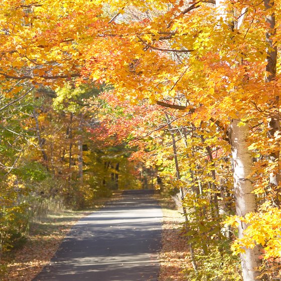 Fall foliage in West Virginia is at its peak in October.