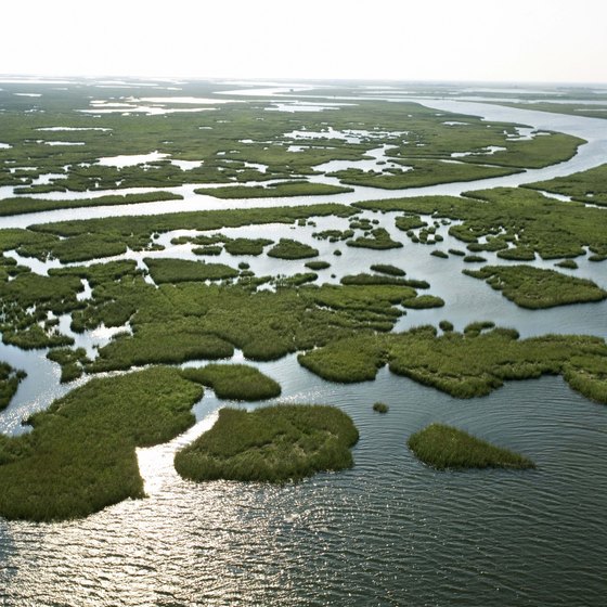 Major Landforms Of Louisiana USA Today