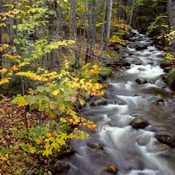 Journey though North Conway, New Hampshire, filled with babbling brooks and fall foliage.