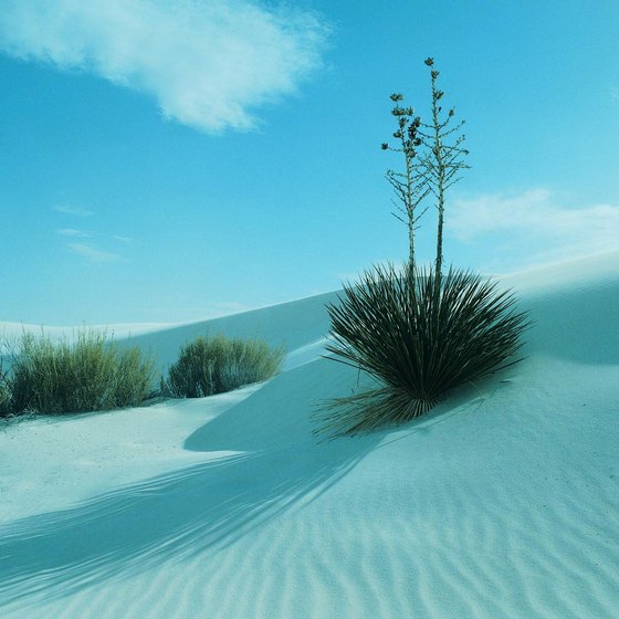 White Sands National Monument is 15 miles west of Alamogordo, New Mexico.
