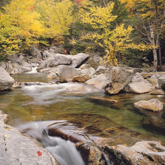 Campton offers the classic beauty of New England's outdoors.