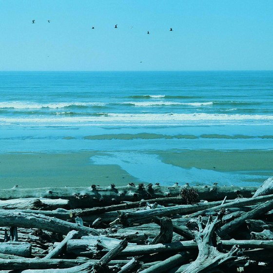 Pacific Beach is approximately 30 miles from Olympic National Forest.