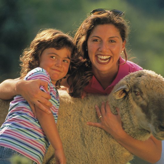 Petting zoos nearest to Alice provide fun and learning for the whole family.