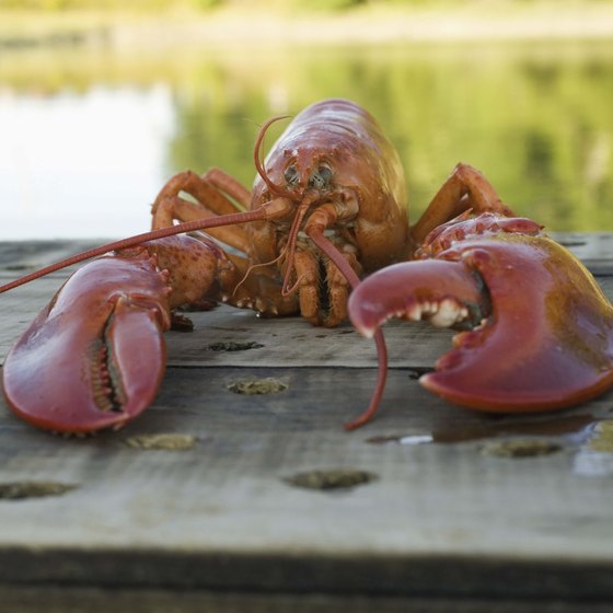 Lobster is a major part of Maine's tourism industry.