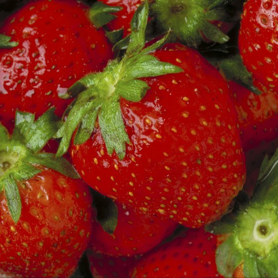 The berries are the unquestioned star of the annual Floral City Strawberry Festival in Florida.