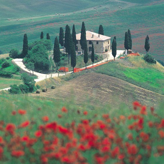 Gallop through fields of red poppies when you go horseback riding in Tuscany.