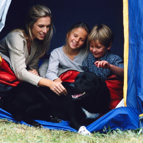 Bringing pets along family vacations don't have to be a hassle.