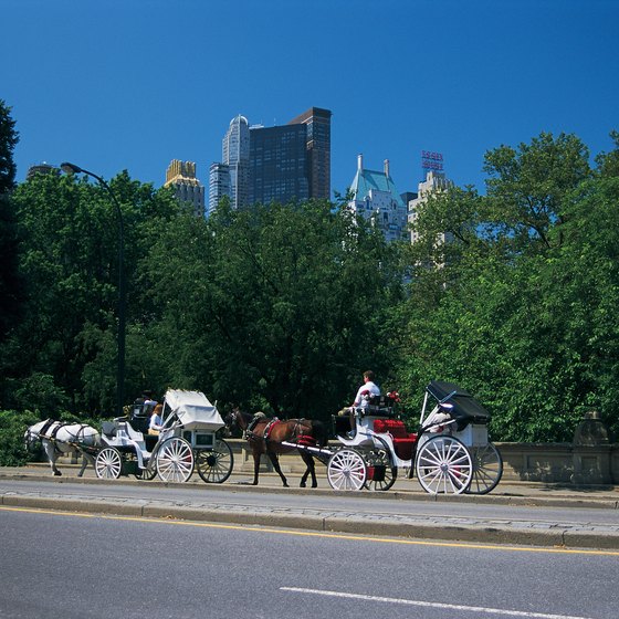 Splurge on a horse-drawn carriage ride in Central Park.