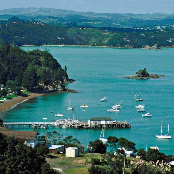 New Zealand's Bay of Islands is home to dolphins.