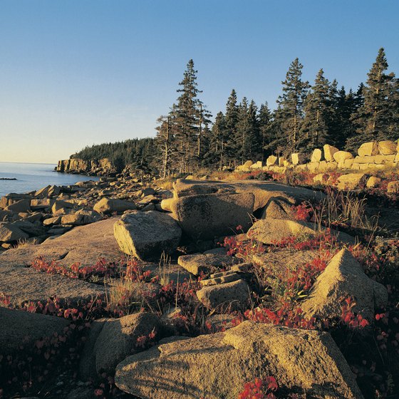 The shoreline of Acadia National Park in early autumn