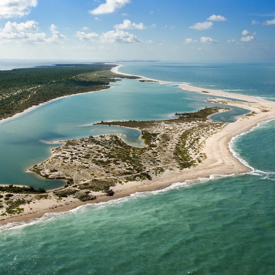 Cayo Costa State Park has 9 miles of beach on the Gulf of Mexico.