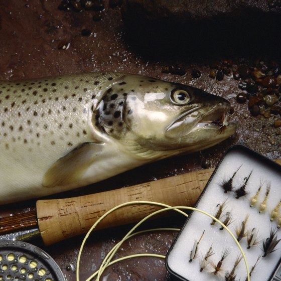 Clearfield County is home to several outstanding trout streams.