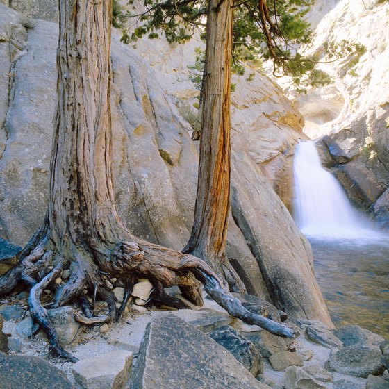 Campers can find many campsites in Kings Canyon National Park.