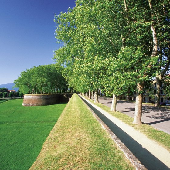 Lucca's medieval walls have been paved and landscaped to resemble a park, and biking is encouraged.