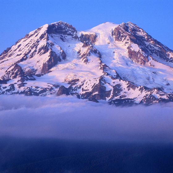 Views of the glacier-covered Mount Ranier are common from many nearby horse trails.