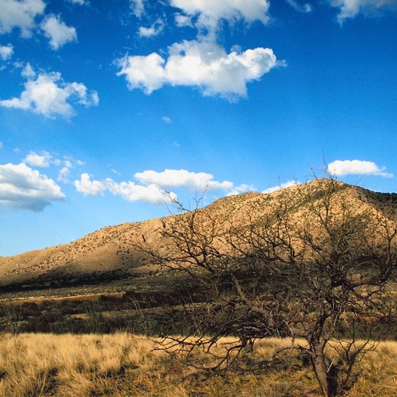 The mountains of southern Arizona are full of nature, wildlife and history.