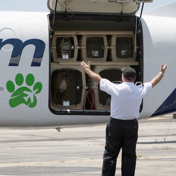 How do you ship your pet as cargo on Delta Airlines?