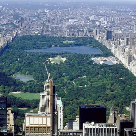 New York's Central Park is a good pick for large groups.