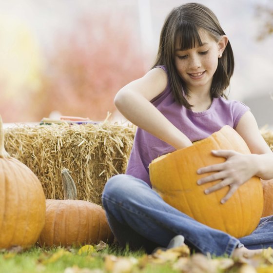 In the fall, families can participate in pick your own pumpkin activities in Davis.