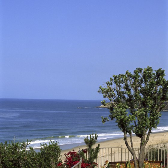 Cliff-perching gardens frame the blue sky, water and sandy beaches of the Orange Coast.