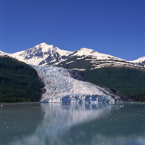 An Alaskan cruise exposes you to bears, whales, glaciers and the majesty of nature.