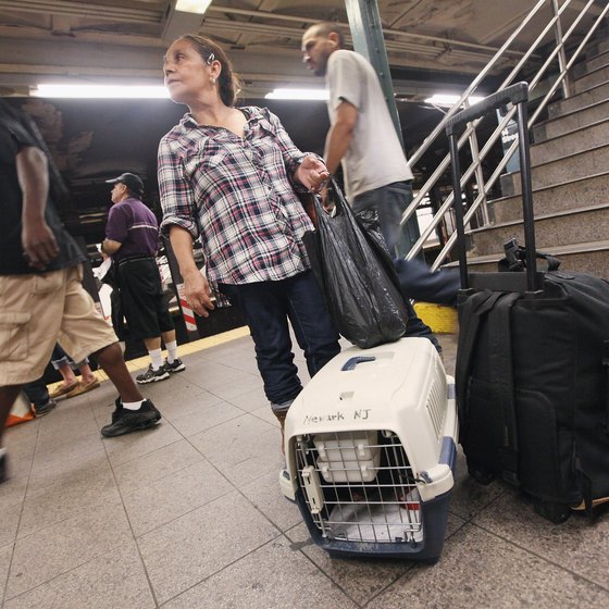 A subway platform can be scary, so make sure your dog is secure in its carrier.
