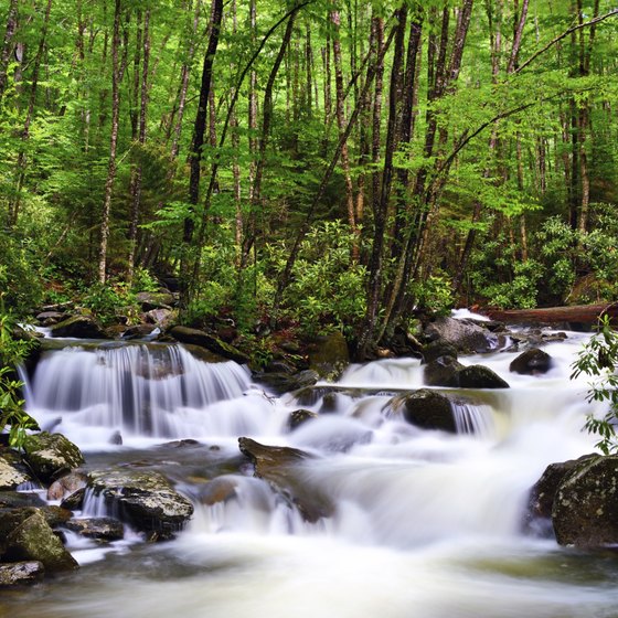 Scenery such as this Gatlinburg river is bound to set a romantic mood.