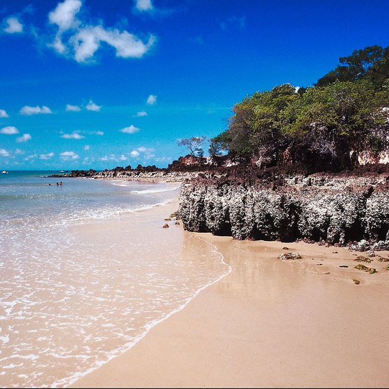 Blue skies and gold sand are trademarks of beaches on South America's Atlantic coast.