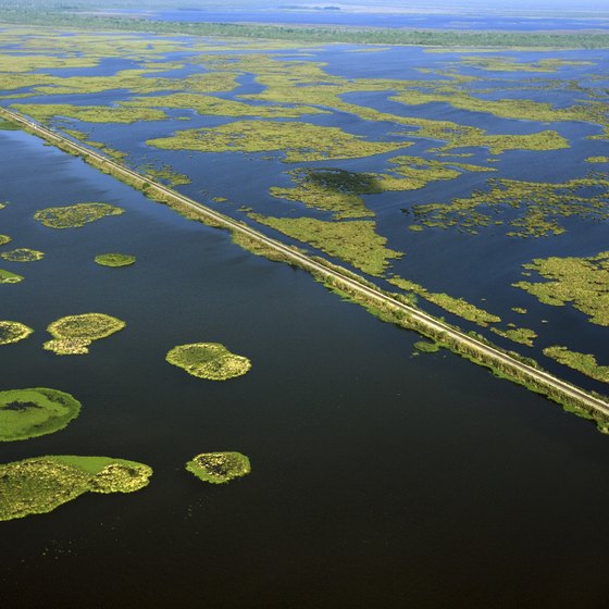 Louisiana's landscape consists of land interspersed with water.