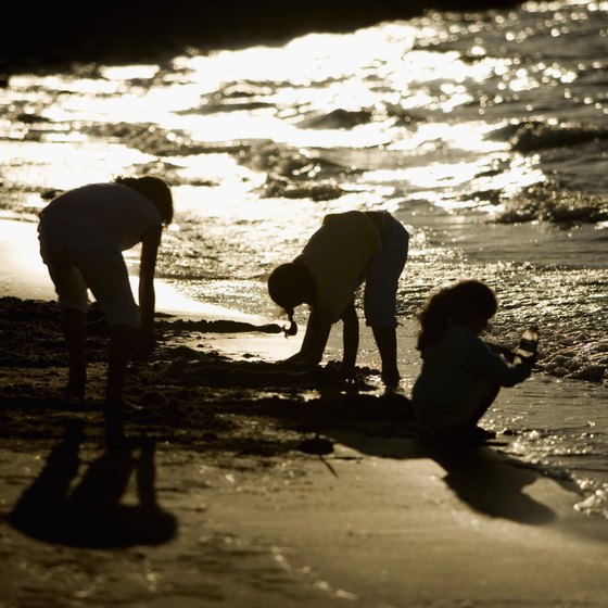Visit Coronado Island for its sandy shoreline, including one pet-friendly beach.