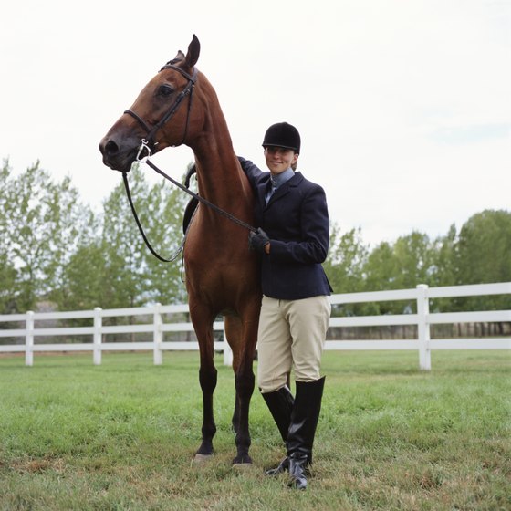 Learn the basics of horseback riding at a stable near Crofton.