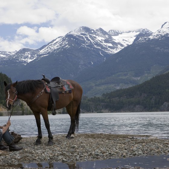 Enjoy the great outdoors with your family and your horse.