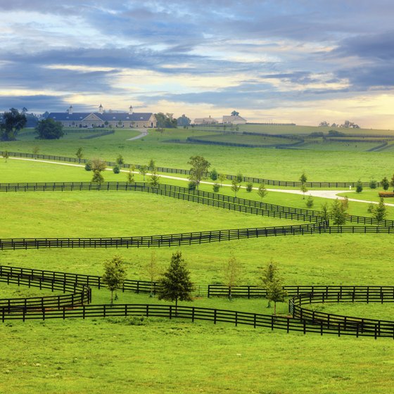 You'll see horse farms and striking views of the Appalachian Mountains throughout Kentucky.