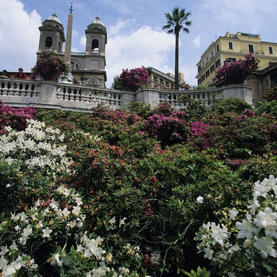 Flowers surround the Spanish Steps in the heart of Rome.