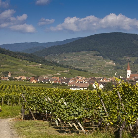 A singles vacation to France can take you biking through the wine regions.