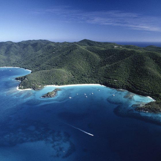 The U.S. Virgin Islands were purchased from Denmark in 1917.