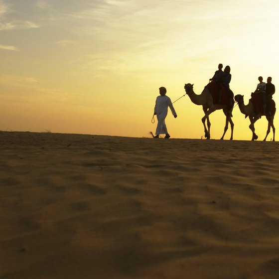Dubai offers numerous day tours, including brief visits into the desert.