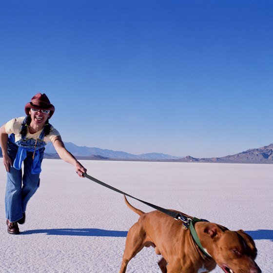 When traveling to Wendover be sure to take a jaunt onto the nearby Bonneville Salt Flats.