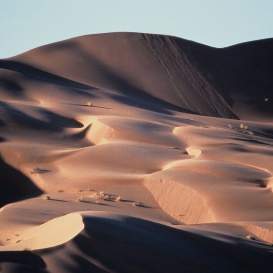 Saudi Arabia is more diverse than endless sand dunes.